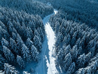 Aerial view of a snow-covered forest with a winding road through dense evergreen trees