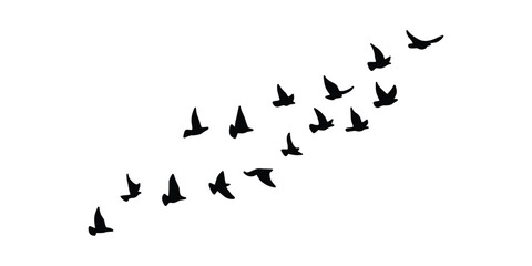 Flying Birds Silhouette Vector Flock in Motion. Bird Flock Silhouette Illustration