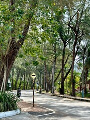 Obraz premium Beautiful street. It's an island. Traffic on the island. Beautiful alley. A scooter rider is riding along the road.