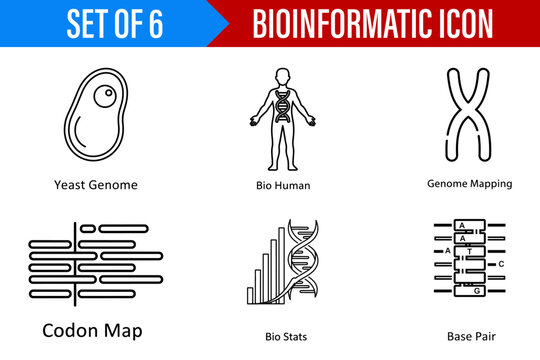 Illustration set of bioinformatics icons depicting genome mapping, codon map, and base pair elements