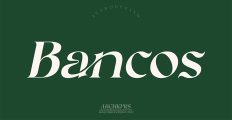 Bancos Sports minimal tech font letter set. Luxury vector typeface for company.