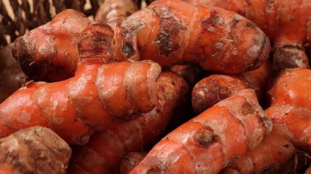 Fresh turmeric in a basket