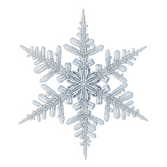 Colorful Christmas ball ornaments in a bowl, a top-down isolated design element with a transparent background PNG.