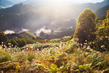 朝靄に包まれる里