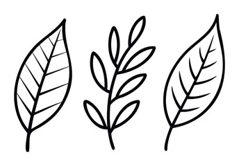 Three simple line drawings of leaves and a sprig, perfect for natural, botanical, or organic themes in graphic applications and presentations