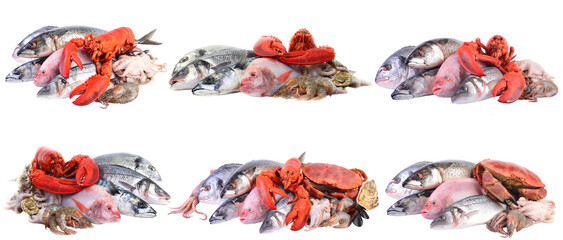 Set fresh seafood isolated