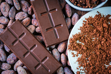 Cocoa Products, Chocolate bar Cocoa powder and cocoa beans, clos-up, top view