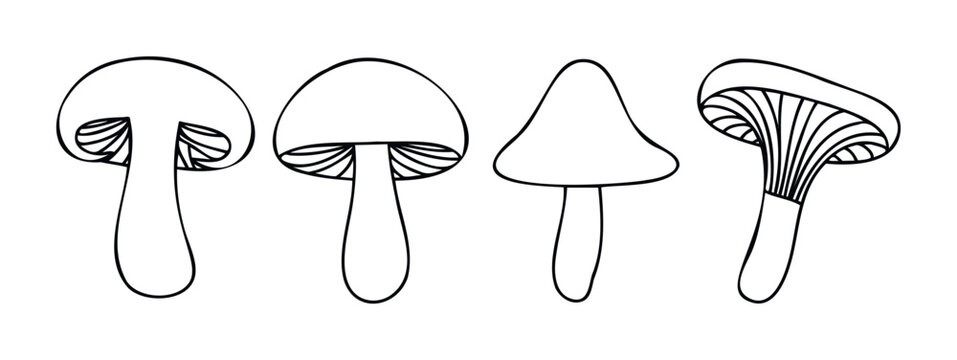 Line drawing collection of different mushroom shapes for foraging guides, culinary inspiration, or natural science education materials.