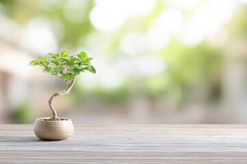 Obraz premium Small bonsai tree with green leaves and twisted trunk in stone pot sits on wooden table, blurred green background, copy space