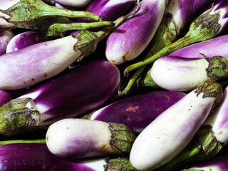Close Up Shot Of A Heap Of Small, Fresh Eggplants
