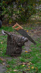 A Long Rusty Hand Saw with a Wooden Handle Leaning on a Gnarly Old Tree Stump in a Garden or Forest