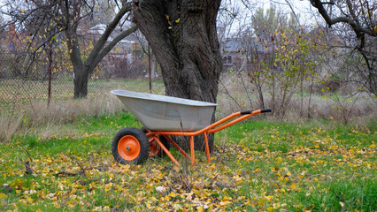 Single-Wheeled Wheelbarrow with Orange Frame Leaning against a Large Tree Trunk in an Autumn Yard