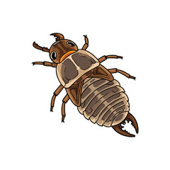 vector antlion with white background