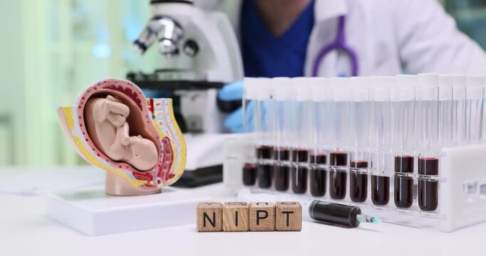 NIPT abbreviation of cubes near blood samples and fetus model in clinic. Non invasive prenatal testing for chromosomal abnormalities in unborn baby