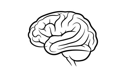 Stylized Line Art Illustration of a Human Brain.