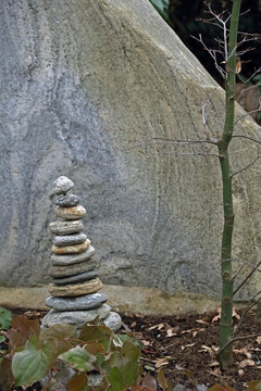 Baumsetzling mit einem Steuint&uuml;rmchen