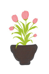 Pink tulips in a pot