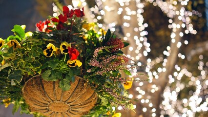 クリスマスイルミネーション