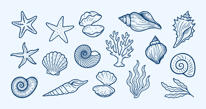 Hand Drawn Seashell, Starfish Marine Icons Set. Nautical vector set of hand drawn seashells, starfish, coral and seaweed in blue line art, ideal for beach branding, summer patterns and decor. Vector