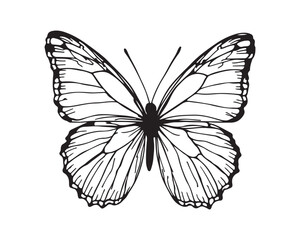 Wild & Domestic Animal Silhouette Icons – Solid Black Vector