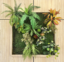 Close up colorful vertical garden on a wall. Natural wall greeneries with various leaves combined and stacked. Vertical green plant design. Seamless nature plant background texture.