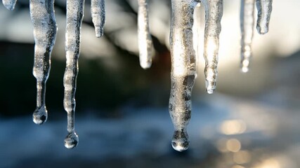 Closeup of icicles hanging from a snow-covered surface with sunlight shining through in winter - Powered by Adobe