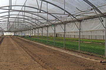 Gew&auml;chshaus mit diversen Anpflanzungen