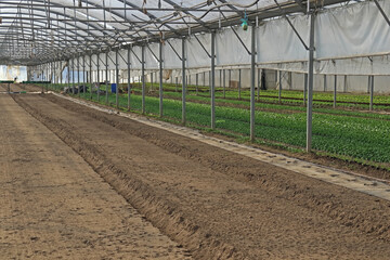 Gew&auml;chshaus mit diversen Anpflanzungen