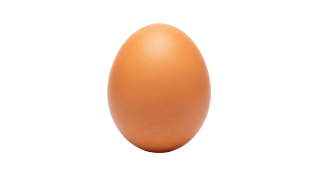 Single brown chicken egg isolated on black background