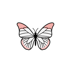 Pink and White Butterfly Illustration.