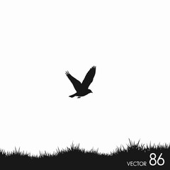 Silhouette of a bird in flight over grass.
