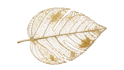 Golden skeleton leaf with glitter against black