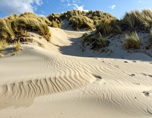 Idyllic sand dunes with marram grass under a blue sky at the coast