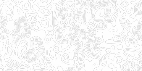 Minimal area white line geometric grid topo map outline. paper curve counter map and wavy topography. relief discovery area white, black line texture background.	