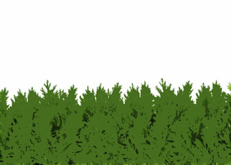 Green evergreen tree line against white background