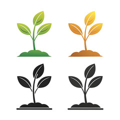 Four different plant growth stages in color and silhouette
