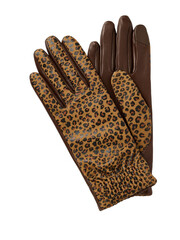 Stylish leopard print leather gloves isolated on transparent background