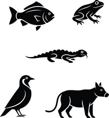 Classification of five animal classes: fish, amphibian, reptile, bird, and mammal.