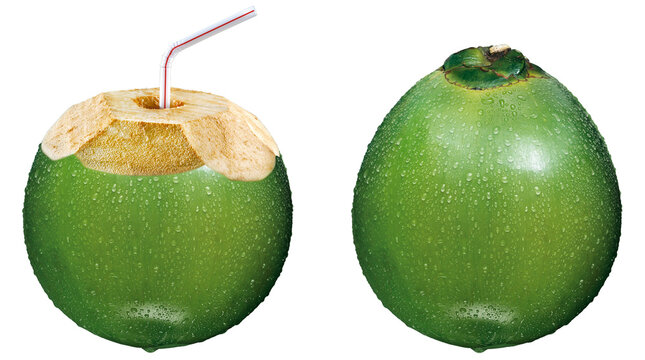 coco verde gelado isolado em fundo transparente - &aacute;gua de coco 