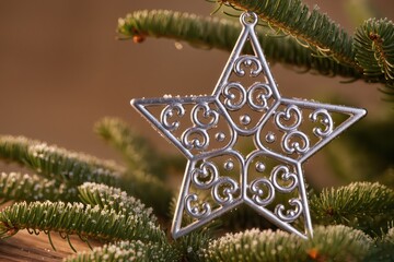 silver filigree star on fir branch - cozy hygge holiday decor