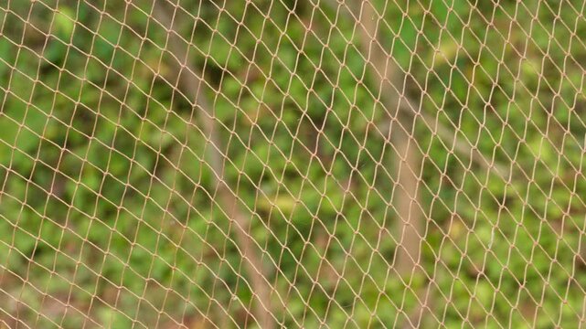 nylon or plastic meterial chain link fence of fishing nets