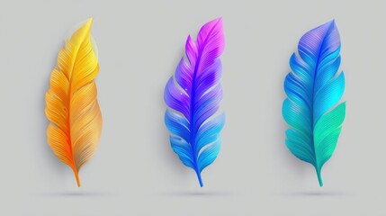 Three digitally illustrated feathers showcase intricate details and vibrant colors,