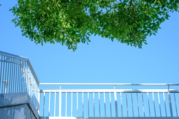Blue sky, green trees and white railings