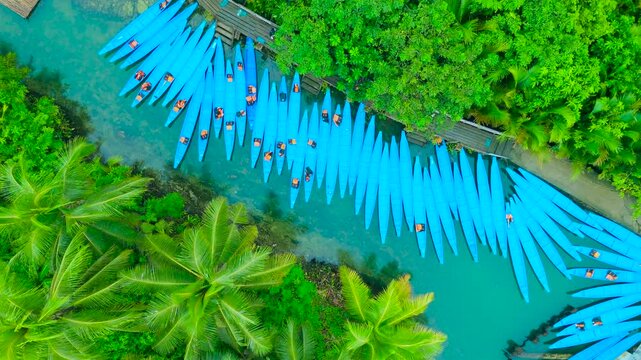 Aerial view of blue paddle boats with people, docked on a clear river surrounded by lush green palm trees and dense tropical foliage, Maasin River, Siargao, Philippines.