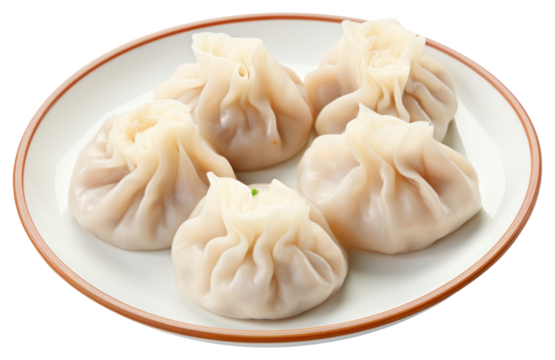 PNG Dim Sum dumpling plate food.