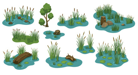 Fototapeta premium Collection of flat cartoon marshland elements with trees, grasses, and water plants