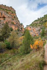 Walking Through Colorful Fall Forest | Autumn Nature Scene
