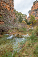 Autumn Forest River with Cascading Waterfalls | Scenic Nature Footage
