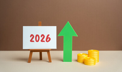 Plan for successful economic growth and business financial performance in the new year. Strategy,...