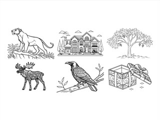 coloring page line art the animal and bird black vector bundle